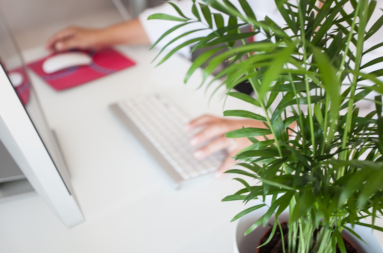 telework, office, entrepreneurs-5046230.jpg